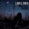 We Ribbons Twist - Liam Lynch lyrics