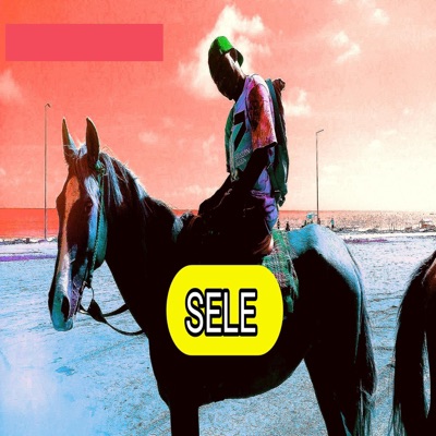 Sele - Single