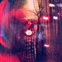 Forest Bath - Eastern Sage