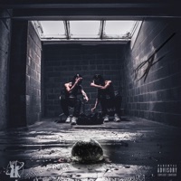 BENÉ & ZEPEK - Single - 0DF