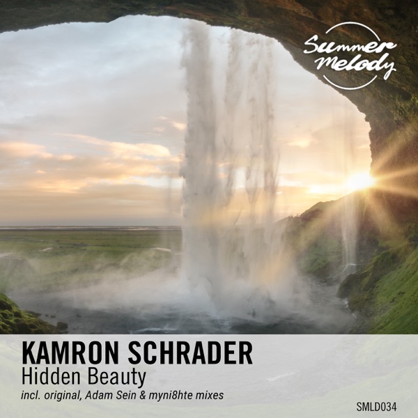 Hidden Beauty - Single