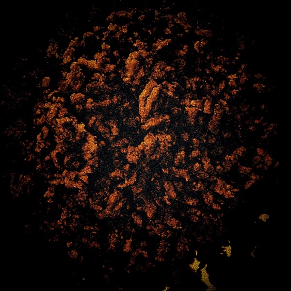 Brown Sludge