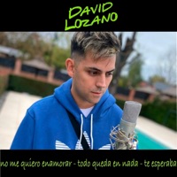 No me quiero enamorar (todo queda en nada te esperaba) - Single - David Lozano