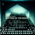 Rhythm of the Night