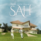 SAH artwork