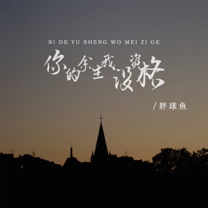 你的余生我没资格 - Single