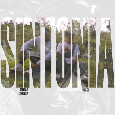 Sintonía (Remix) [feat. Vicci] - Single