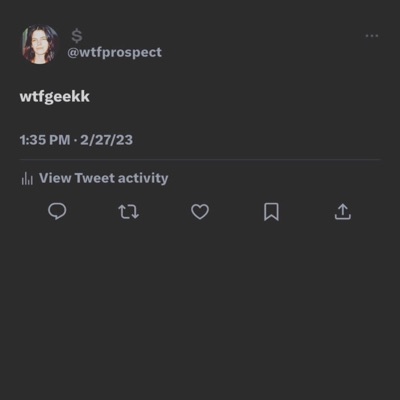 Wtfgeekk (feat. MeechGeekk) - Single