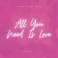 All You Need Is Love
