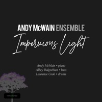 Impervious Light (Remastered Version) - Single - Andy McWain