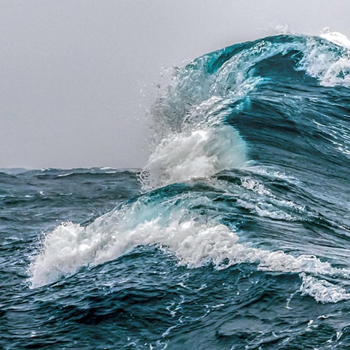 The Wave - Single