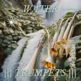 Water Trumpets DJ Axeidental