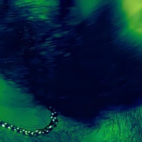 Friends - Single - Sneakyseabear