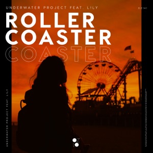 Rollercoaster (feat. L!LY) - Single