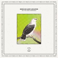 On the Edge (Remixes) - Single - Needs No Sleep & Wildfire