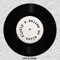 Un Alien (feat. kaliMM) - Single - FlyFly