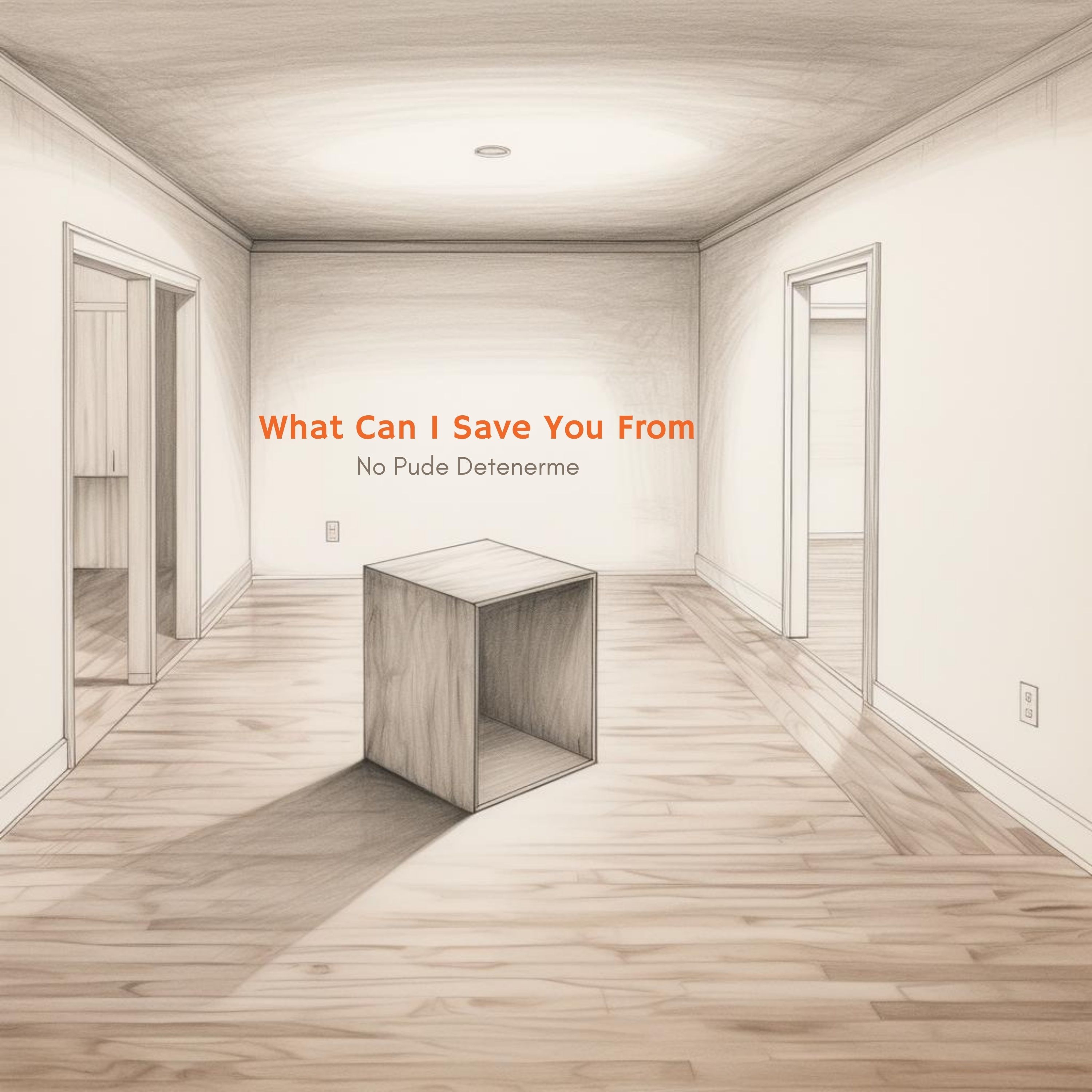 What Can I Save You From - Single