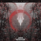 Where I'm Going artwork