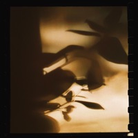 Golden Lantern - Single - Lascko