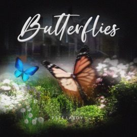 Butterflies Pete LABOY