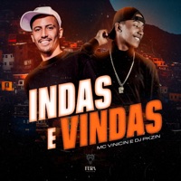 Idas e Vindas - Single - MC Vinicin & Dj Pkzin