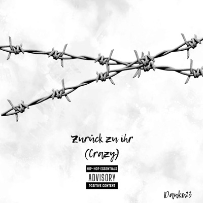 Zurück zu ihr (crazy) - Single