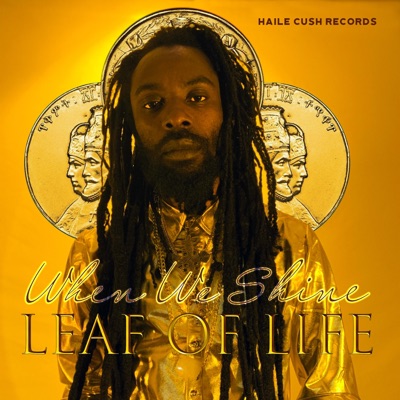 When We Shine - Single