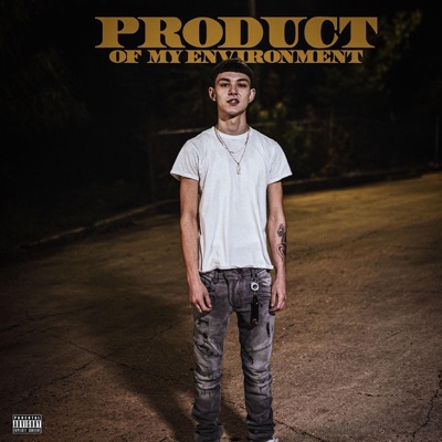 Product of My Environment - Single