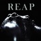 Reap - Shallowsky lyrics