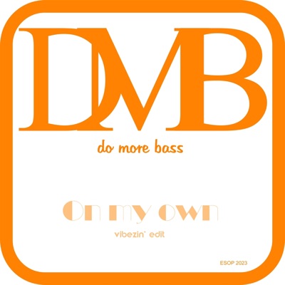 On my own (Vibezin' Edit) - Single