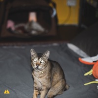 Early For Tomorrow - Single - Ihasamic!, kozy allways & Khalif Rawi