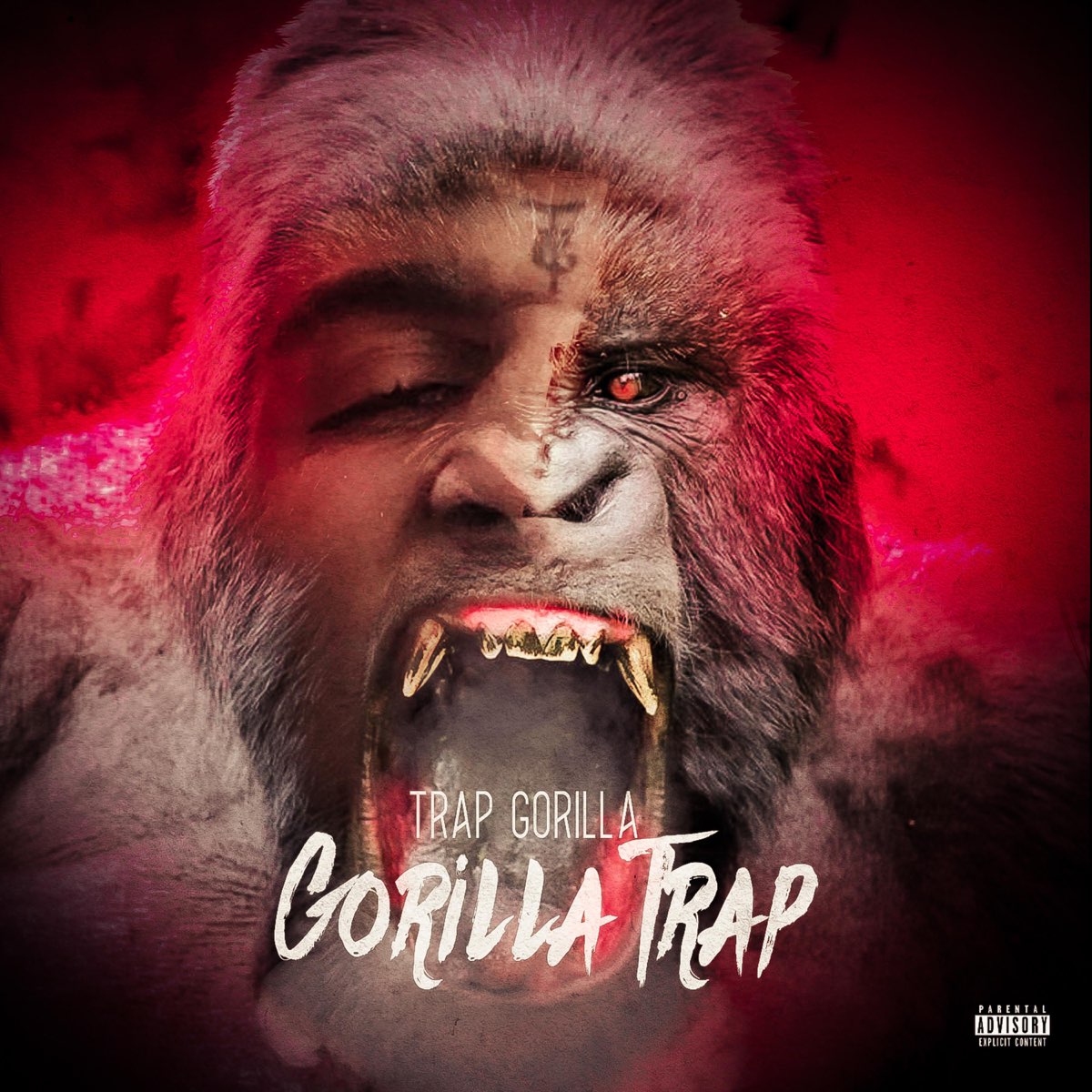 Gorilla Trap - Album by Trap Gorilla - Apple Music