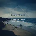i wanna know what love is
