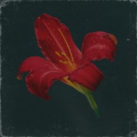 Смогу ли я? - Single - NotSadBoy