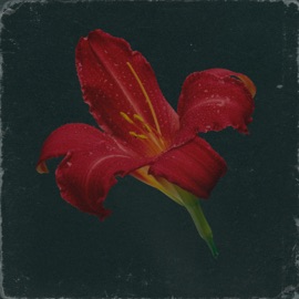 Смогу ли я? NotSadBoy