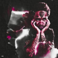 Fly (feat. Slime Dollaz) - Single - RSX
