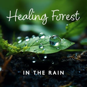 Healing Forest in the Rain