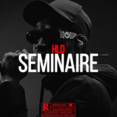 skayzdetp - Séminaire (HLD)