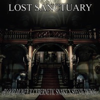 Lost Sanctuary (feat. Blood Money & Cybernetic Snake) - Single - Stevie Durag