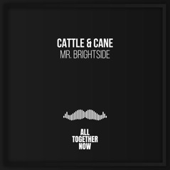Mr. Brightside - Single