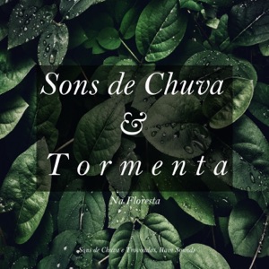 Sons de Chuva e Tormenta na Floresta