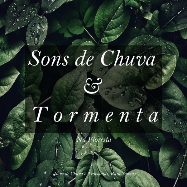 Sons de Chuva e Tormenta na Floresta