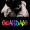 GUARDALO artwork