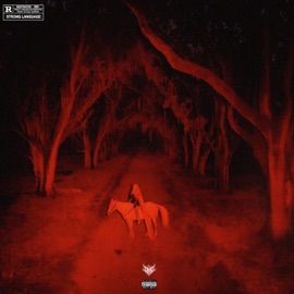 Okay I Lied, Im Lost Asfck SCAR