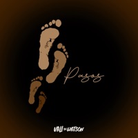 Crónica De Un Viejo Amor - Single - Vali By Watson