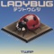 Ladybug artwork