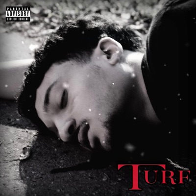 Turf - Single
