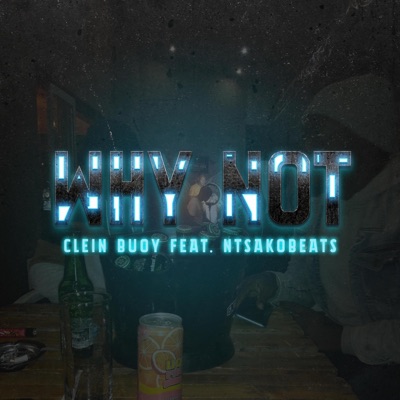 Why Not (feat. NtsakoBeats) - Single