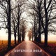 November road feat Kaisa Leskinen Single