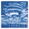 Turbulence (Radio Edit) artwork